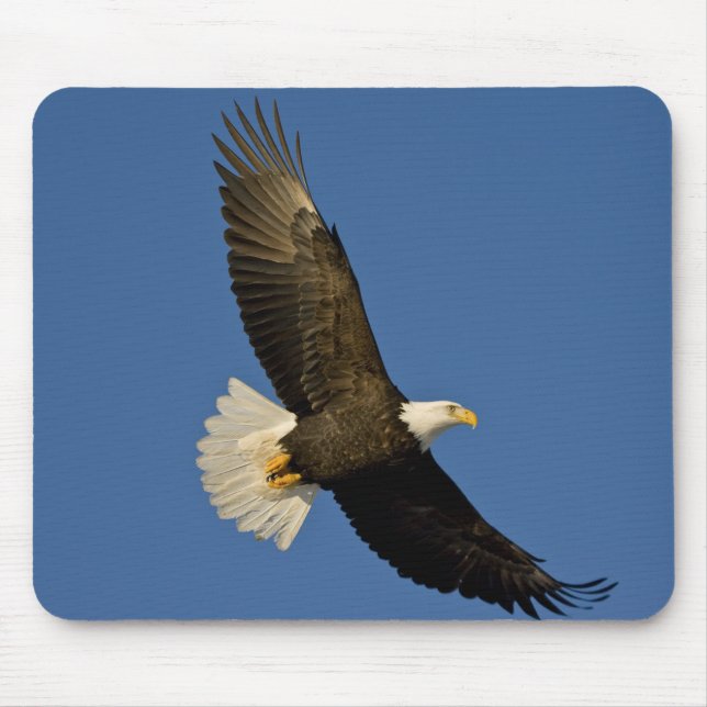 Bald Eagle, Haliaeetus leucocephalus, Homer, Mouse Mat (Front)