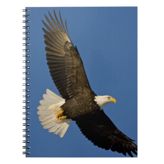 Bald Eagle, Haliaeetus leucocephalus, Homer, Notebook (Front)