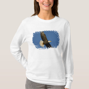 Bald Eagle, Haliaeetus leucocephalus, Homer, T-Shirt