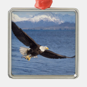 bald eagle, Haliaeetus leucocephalus, in flight 4 Metal Tree Decoration