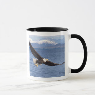 bald eagle, Haliaeetus leucocephalus, in flight 4 Mug