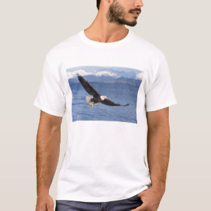 bald eagle, Haliaeetus leucocephalus, in flight 4 T-Shirt