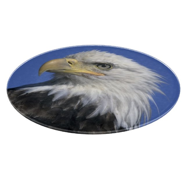Bald Eagle, (Haliaeetus leucocephalus), wild, Cutting Board (Corner)