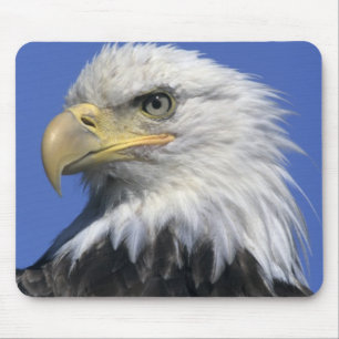 Bald Eagle, (Haliaeetus leucocephalus), wild, Mouse Mat