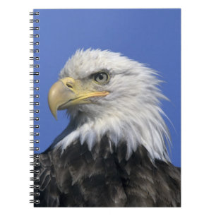 Bald Eagle, (Haliaeetus leucocephalus), wild, Notebook