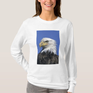 Bald Eagle, (Haliaeetus leucocephalus), wild, T-Shirt