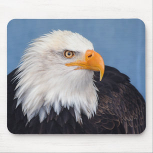 bald eagle, hawk, raptor mouse mat