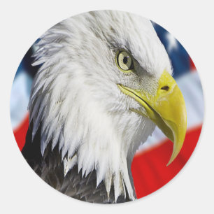 Bald Eagle head and a American flag Classic Round Sticker