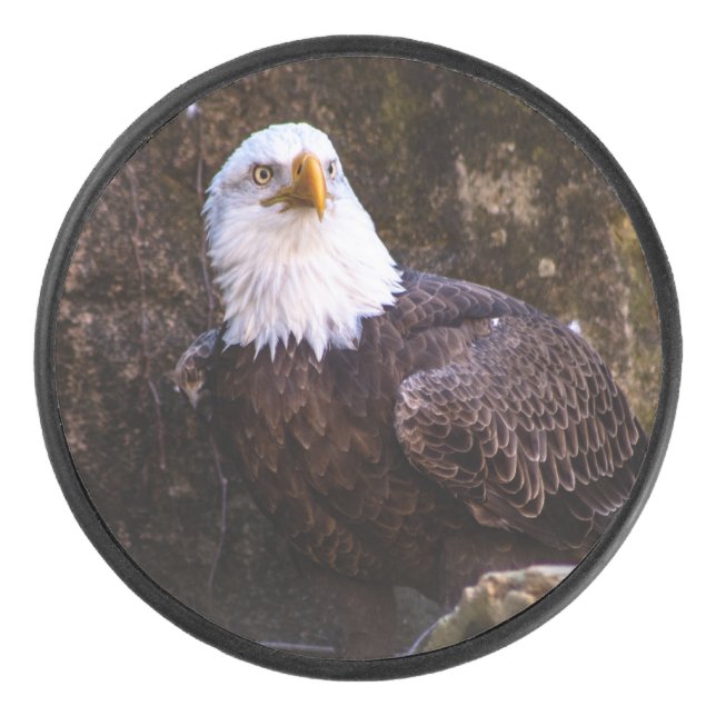 Bald Eagle Hockey Puck (Front)
