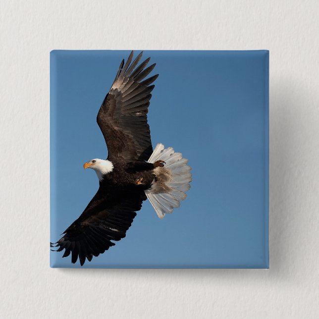 Bald Eagle in Flight 15 Cm Square Badge (Front)