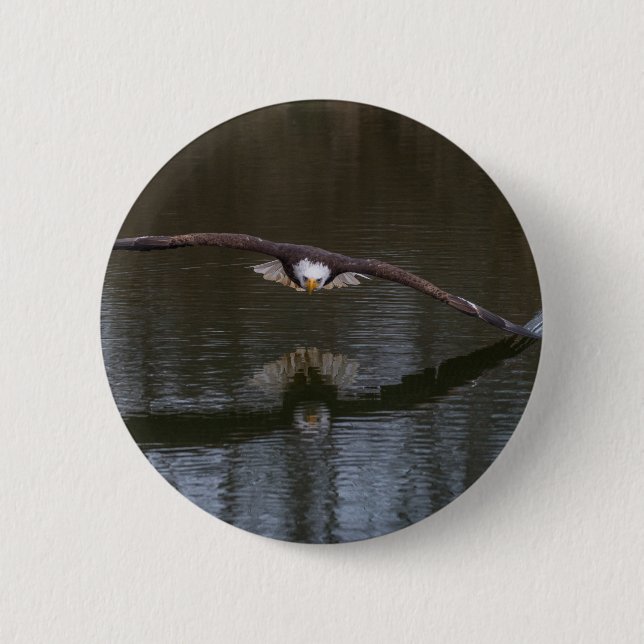 Bald Eagle in Flight 6 Cm Round Badge (Front)