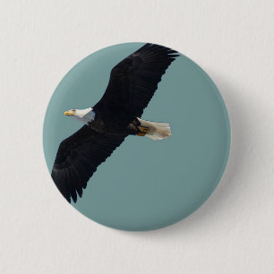 bald eagle in flight 6 cm round badge