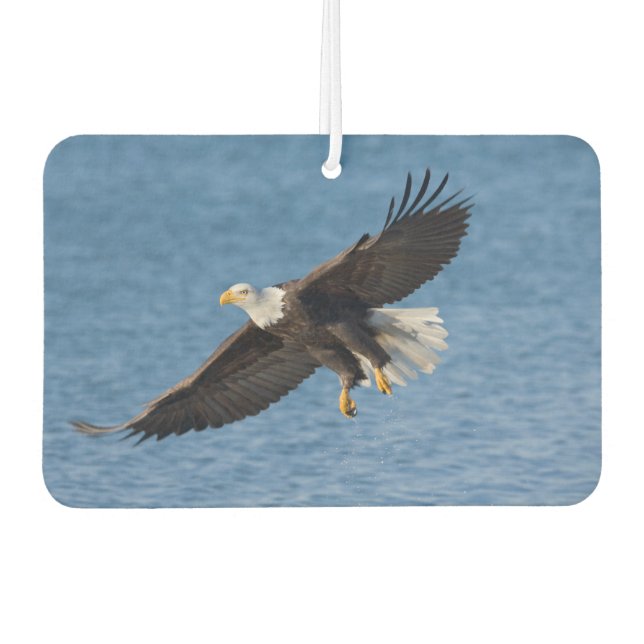 Bald eagle in flight car air freshener (Front)
