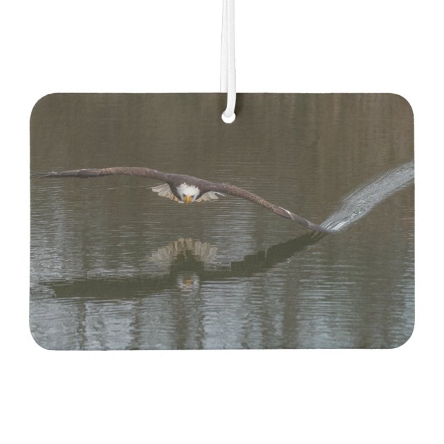 Bald Eagle in Flight Car Air Freshener (Front)