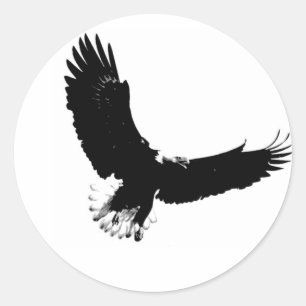 Bald Eagle in Flight Classic Round Sticker