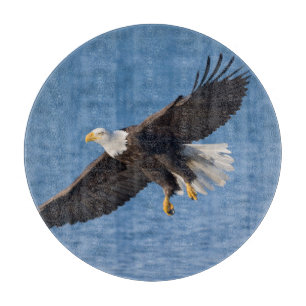 Bald eagle in flight cutting board
