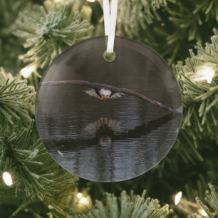 Bald Eagle in Flight Glass Tree Decoration