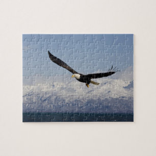 Bald Eagle in Flight, Haliaeetus leucocephalus, 3 Jigsaw Puzzle