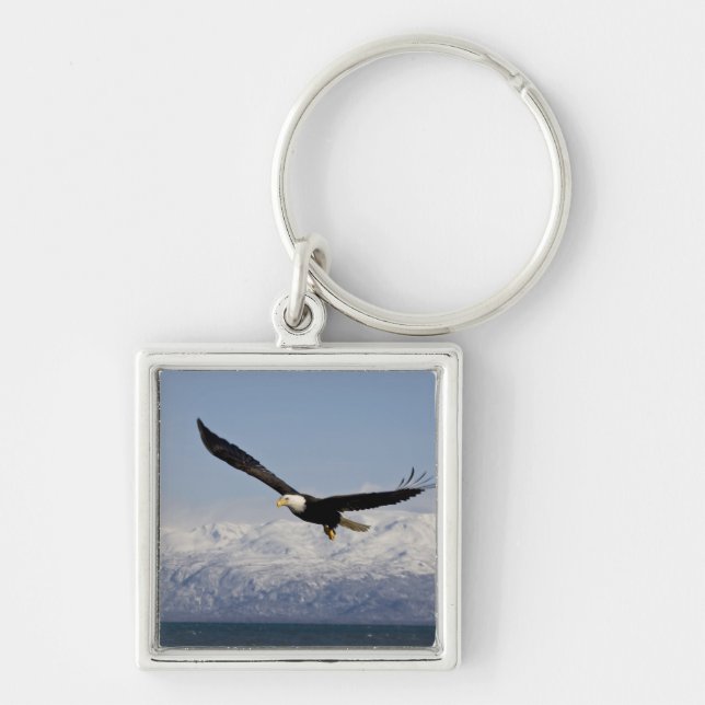 Bald Eagle in Flight, Haliaeetus leucocephalus, 3 Key Ring (Front)
