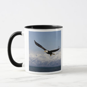 Bald Eagle in Flight, Haliaeetus leucocephalus, 3 Mug