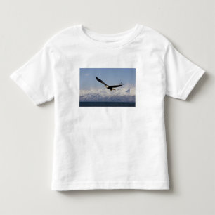 Bald Eagle in Flight, Haliaeetus leucocephalus, 3 Toddler T-Shirt