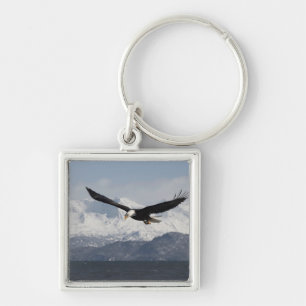 Bald Eagle in Flight, Haliaeetus leucocephalus, Key Ring