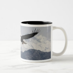 Bald Eagle in Flight, Haliaeetus leucocephalus, Two-Tone Coffee Mug