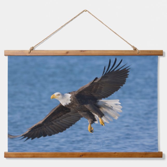 Bald eagle in flight hanging tapestry (Front)