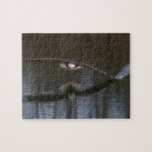 Bald Eagle in Flight Jigsaw Puzzle