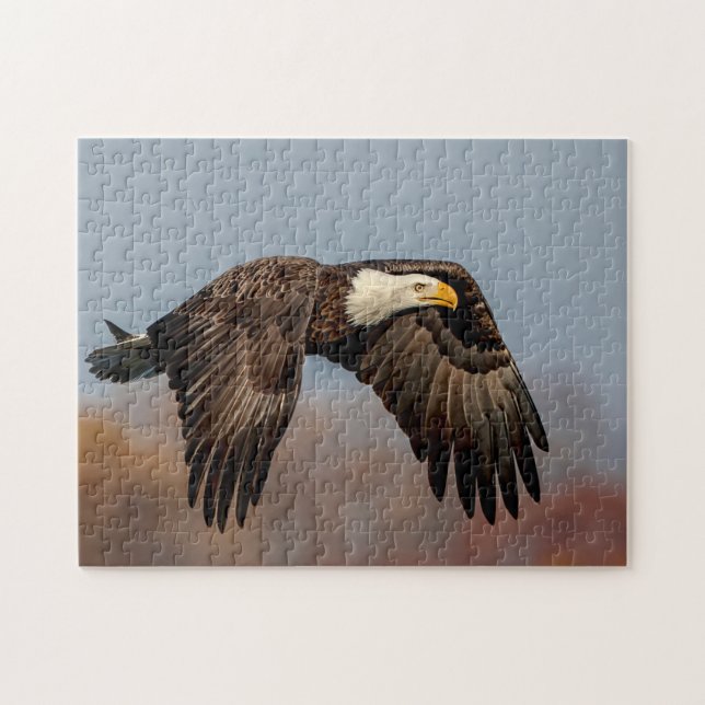 Bald Eagle in flight Jigsaw Puzzle (Horizontal)