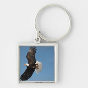 Bald Eagle in Flight Key Ring