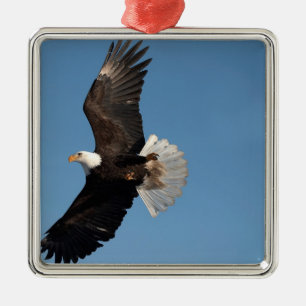 Bald Eagle in Flight Metal Tree Decoration