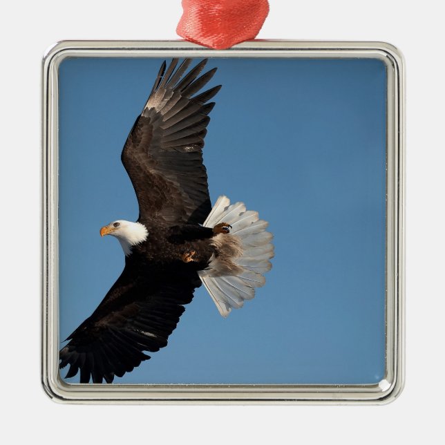 Bald Eagle in Flight Metal Tree Decoration (Front)