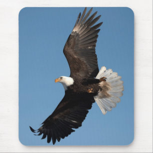 Bald Eagle in Flight Mouse Mat