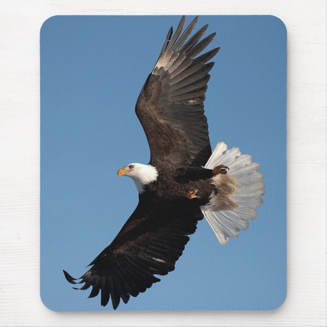 Bald Eagle in Flight Mouse Mat (Front)