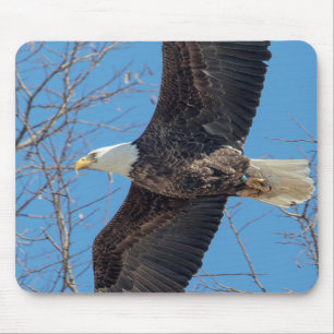 Bald Eagle in flight Mouse Mat