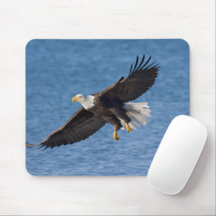 Bald eagle in flight mouse mat