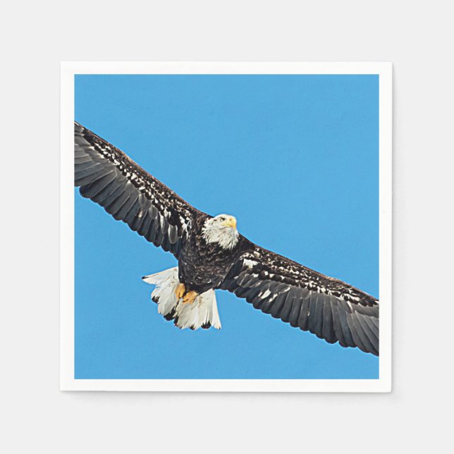 Bald Eagle in flight Napkin (Front)