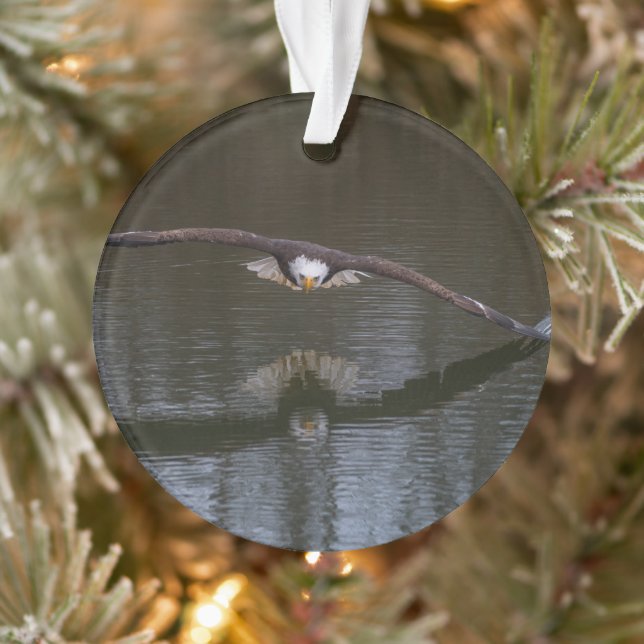 Bald Eagle in Flight Ornament (Tree)