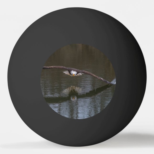 Bald Eagle in Flight Ping Pong Ball (Front)