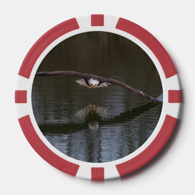 Bald Eagle in Flight Poker Chips (Front)