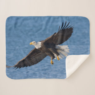 Bald eagle in flight sherpa blanket