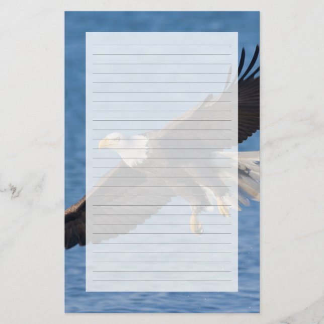 Bald eagle in flight stationery (Front)
