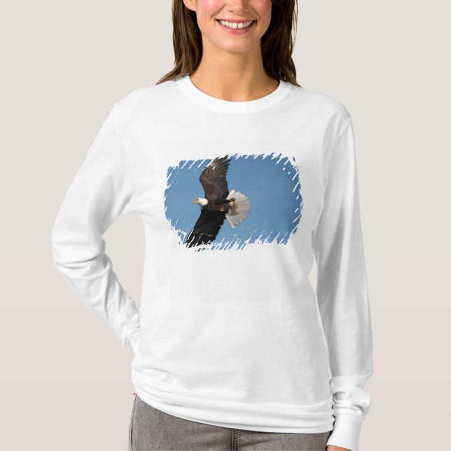 Bald Eagle in Flight T-Shirt (Front)