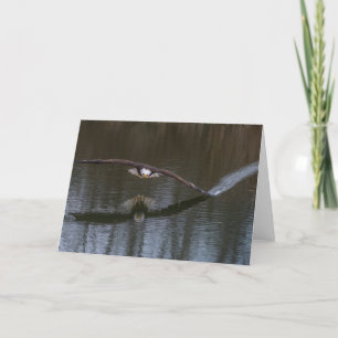 Bald Eagle in Flight Thank You Card