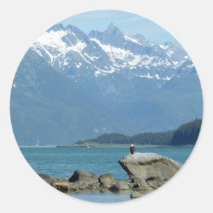 Bald Eagle in Skagway Alaska Classic Round Sticker