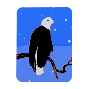Bald Eagle in Winter  - Original Wildlife Art Magnet