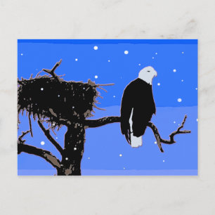 Bald Eagle in Winter  - Original Wildlife Art Postcard