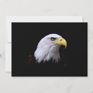 Bald Eagle Invitation
