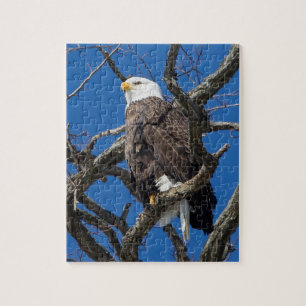 Bald Eagle Jigsaw Puzzle
